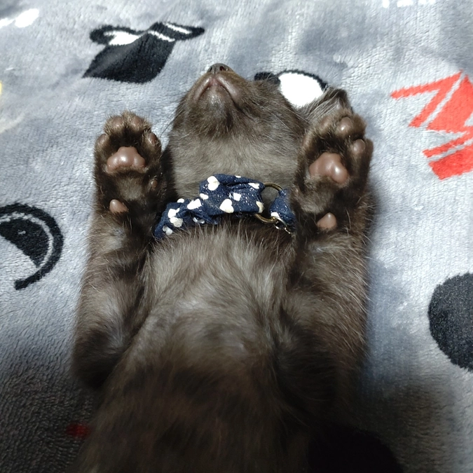 1歳になりました🎂