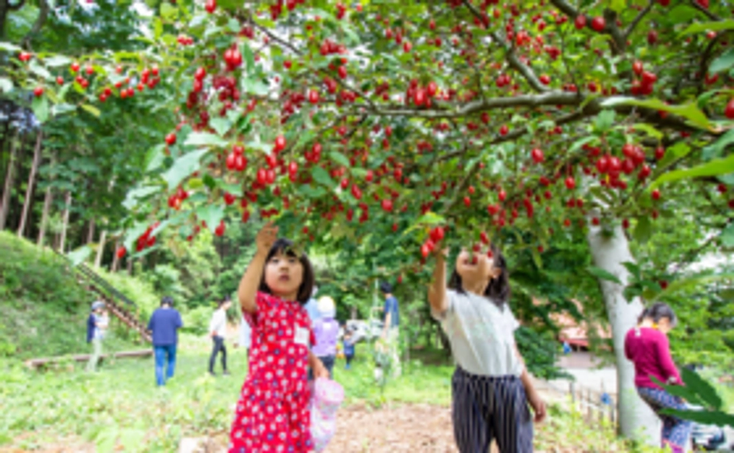 【応援コース】サンクスレター