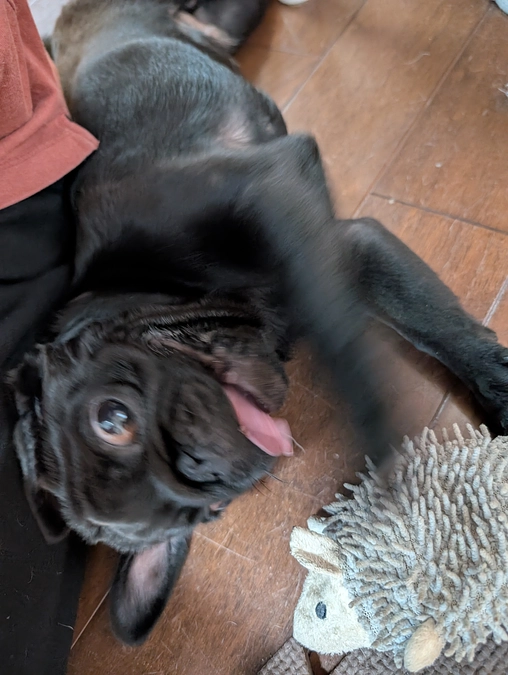 ゆっけが発症した日