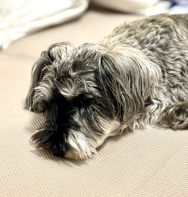 あまり良い状態ではありません。。。