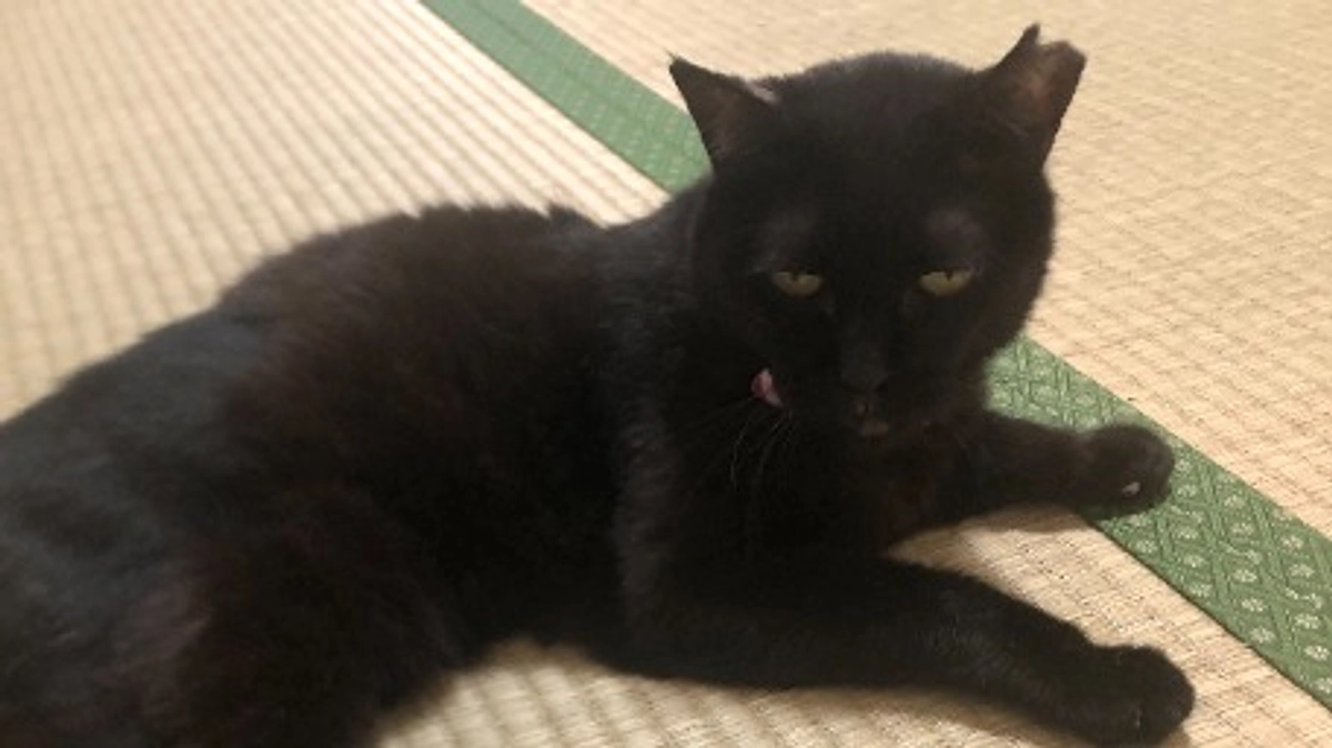 支援金が入金されました。