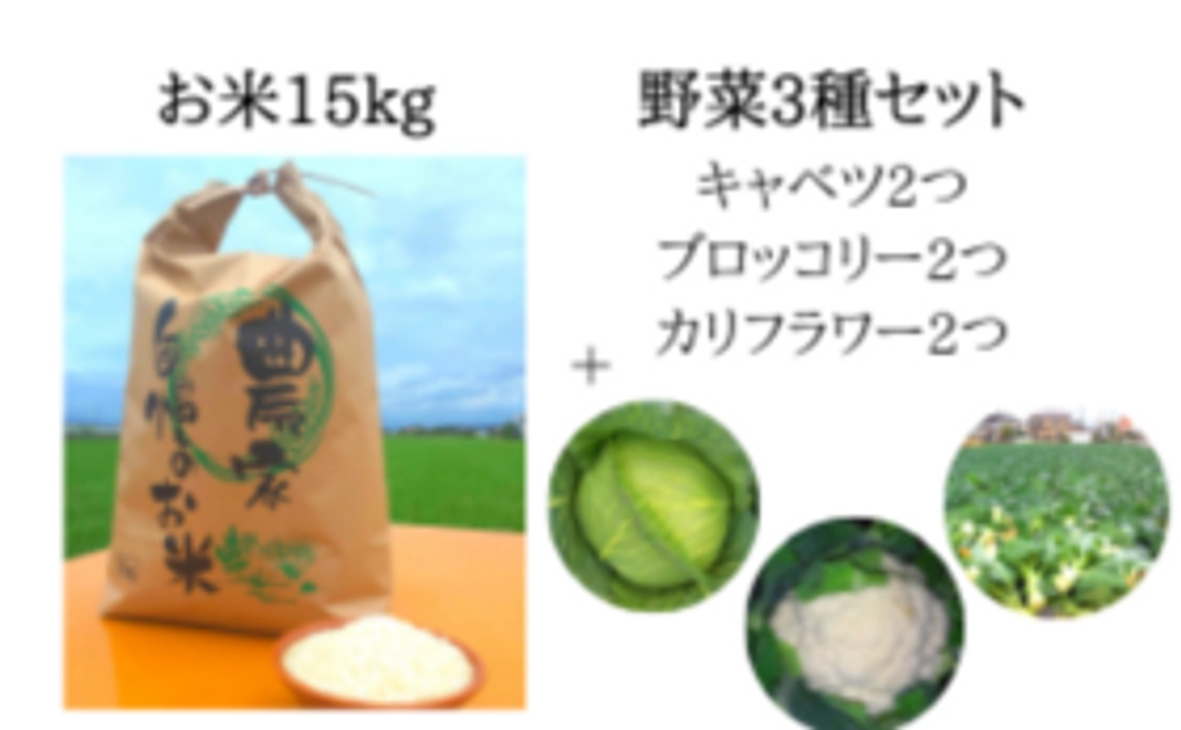 お米15kg+野菜3種セット