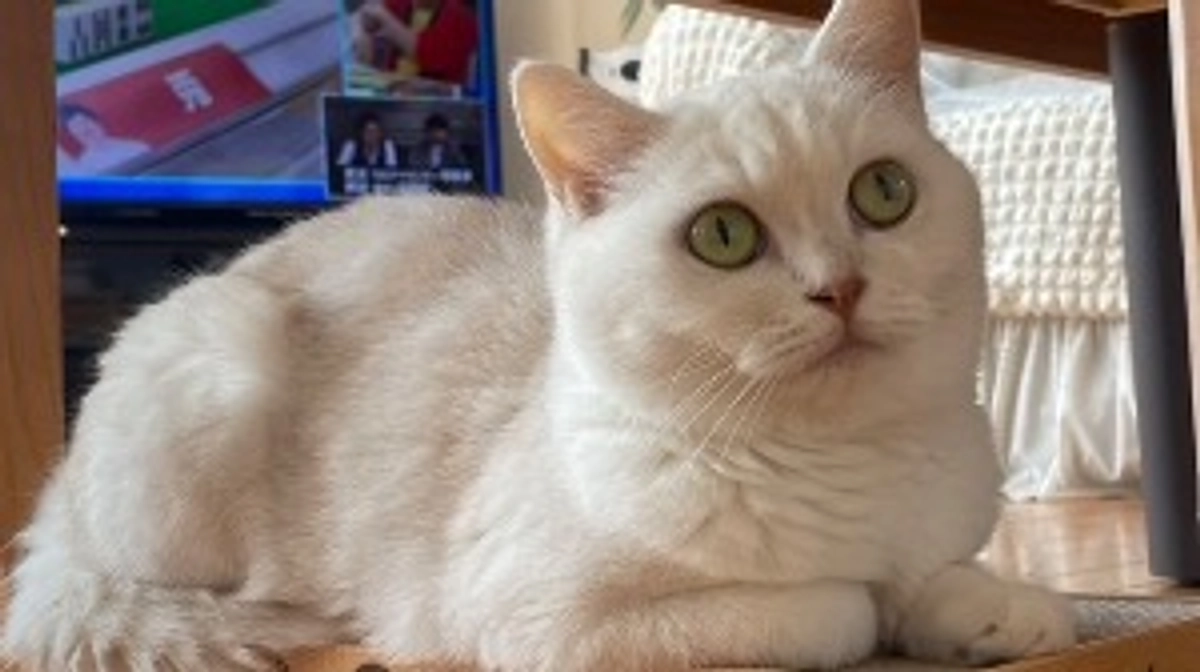 今朝のみしぇる😂💕