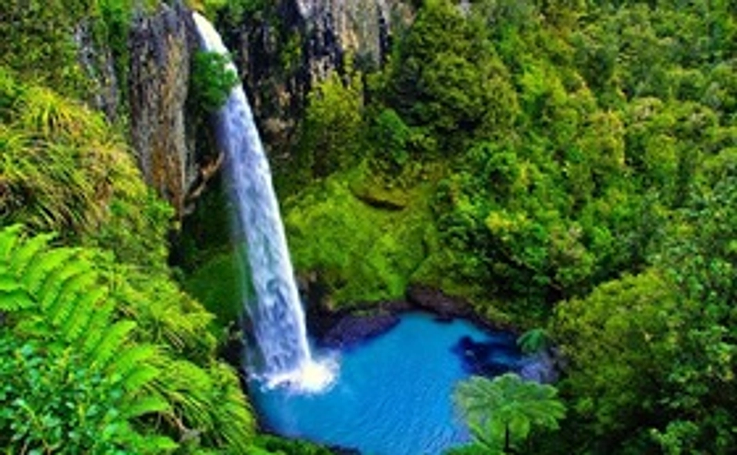 旅の記録＆ニュージーランド産マヌカハニー＆ニュージランド写真集