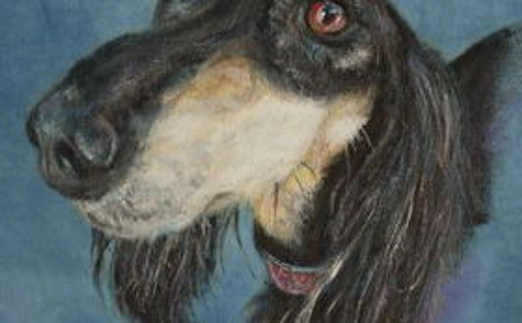 本藍染めのＴシャツにあなたの愛犬の絵を描きます