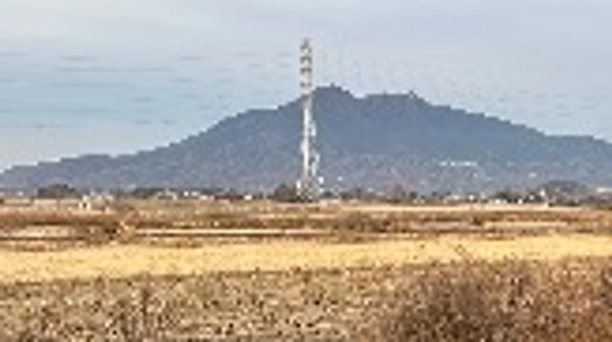 二十四節気 冬至　七十二候 麋角解(さわしかのつのおつる)