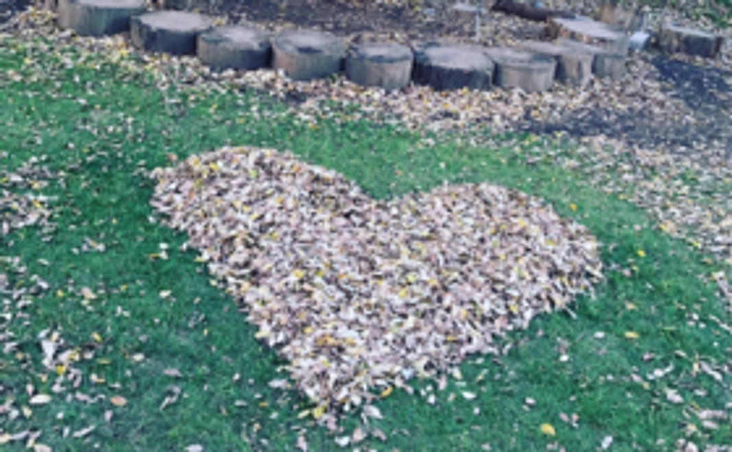 【プロジェクト応援プラン】感謝の気持ちを込めてサンクスレター