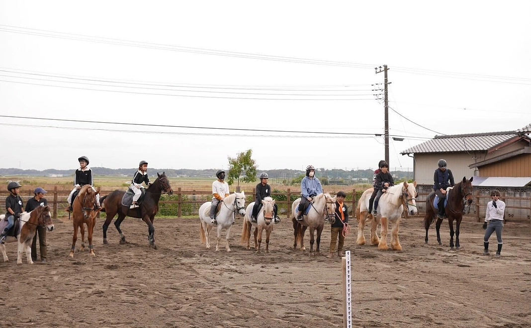 （企業様向け）ホースミラーリングセッション体験 ＆ 看板設置・SNS掲載（30万円）