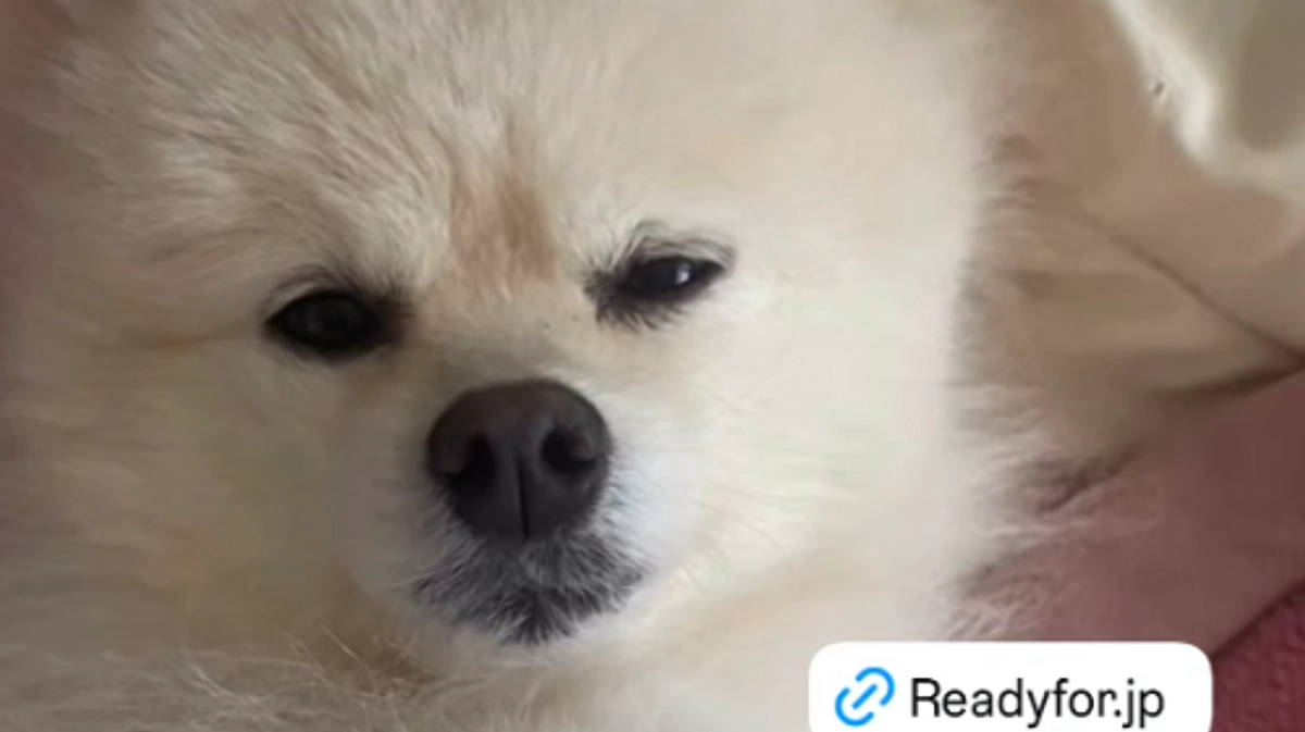 公開３２日目（残り７日） 