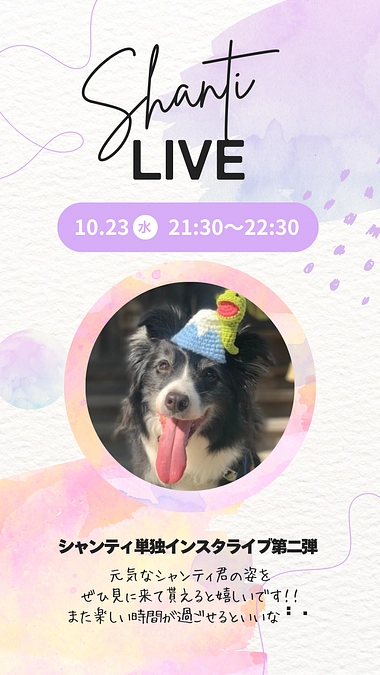 この後、21:30よりインスタライブ