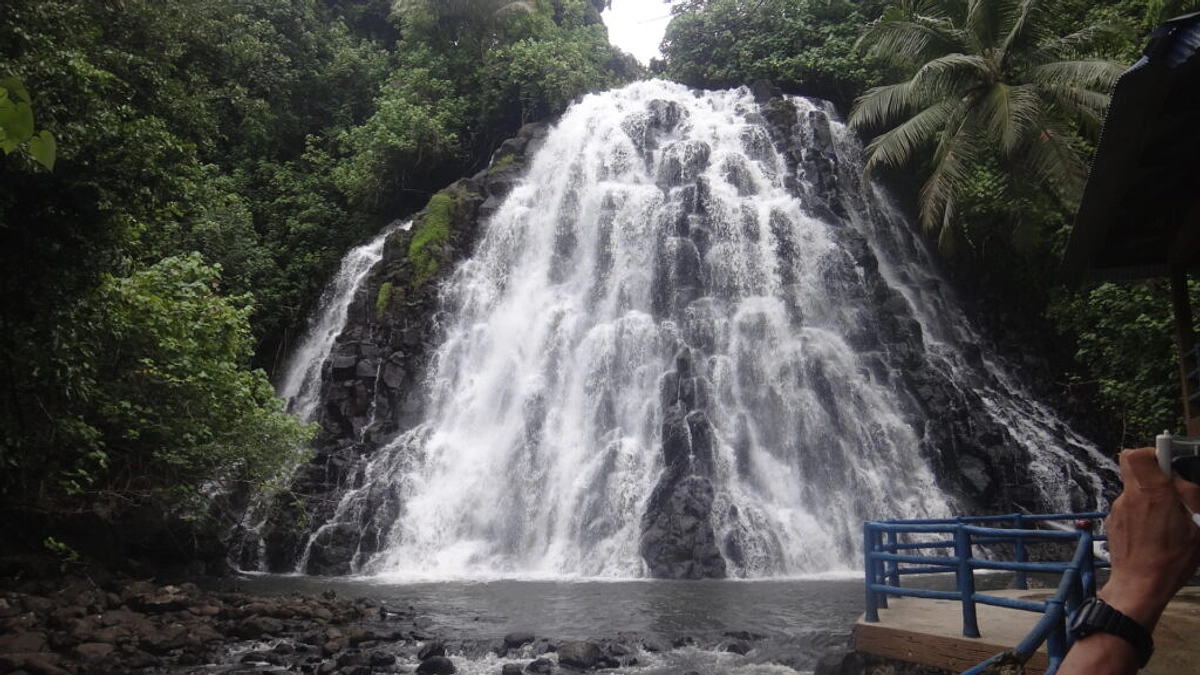 最近の第75次訪問団の動画を共有します。