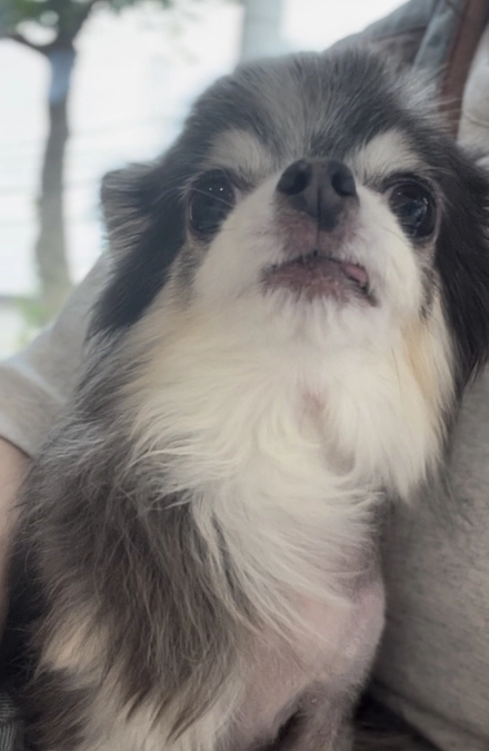 術後1ヶ月検診へ行ってきました