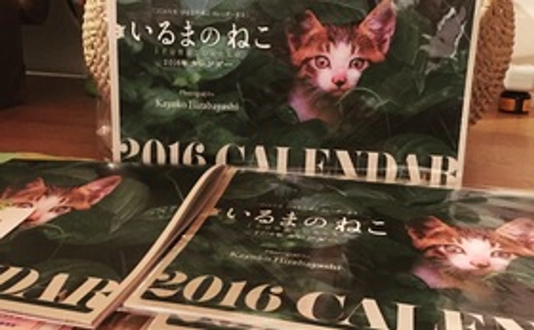 サンクスレター＋猫カレンダー