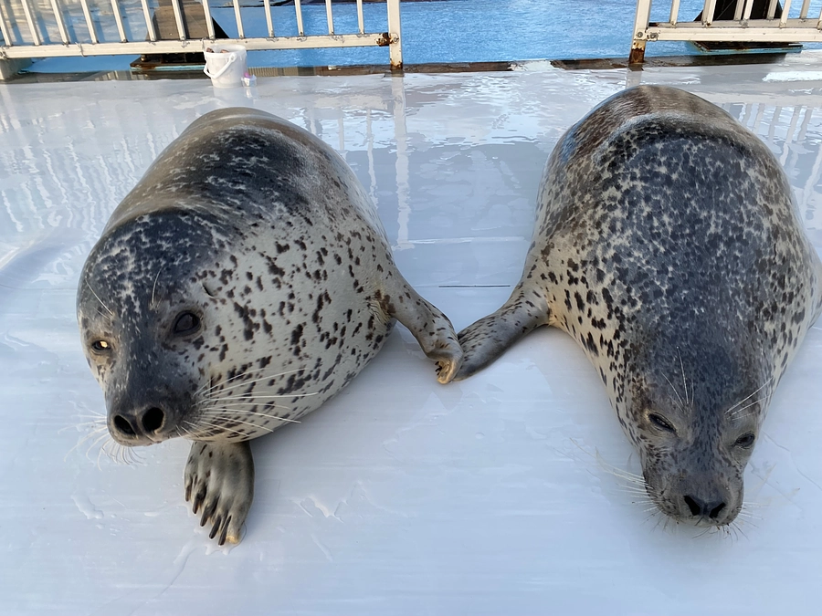 東京写真展の活動報告と福岡写真展について