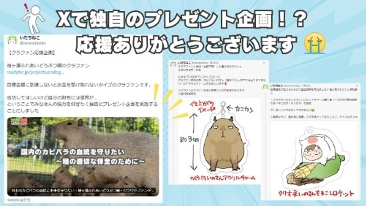 独自の応援企画ありがとうございます！！