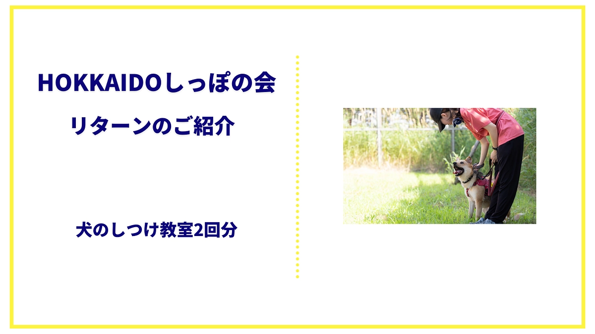 【リターンのご紹介】犬のしつけ教室2回分のご案内です！