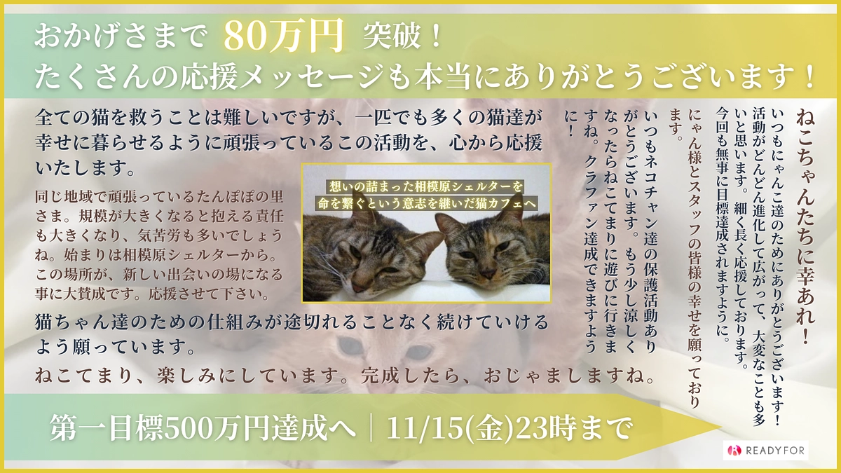 ご支援総額が８０万円となりました