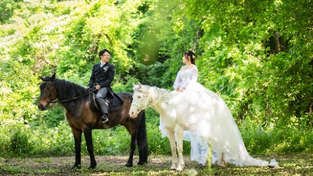 馬との撮影との出会い