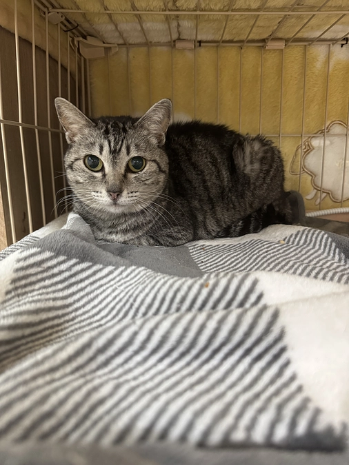 実里（みのり）が安心して暮らせる未来のために