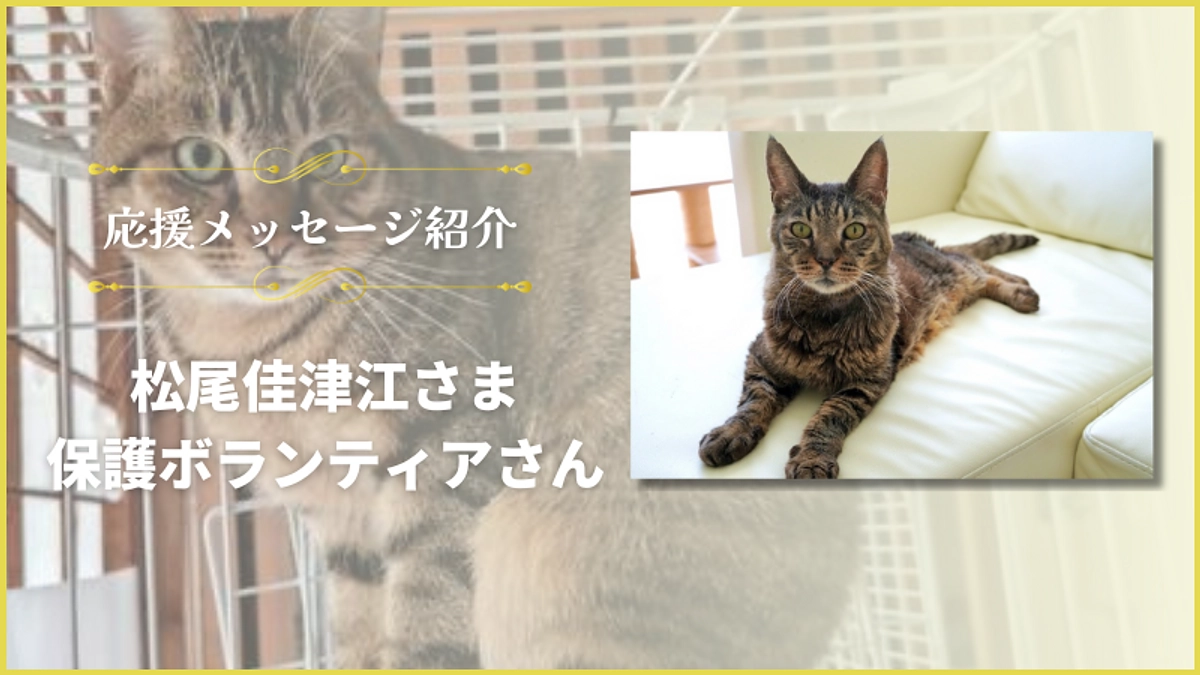 応援メッセージのご紹介【保護ボランティア　松尾佳津江さま】