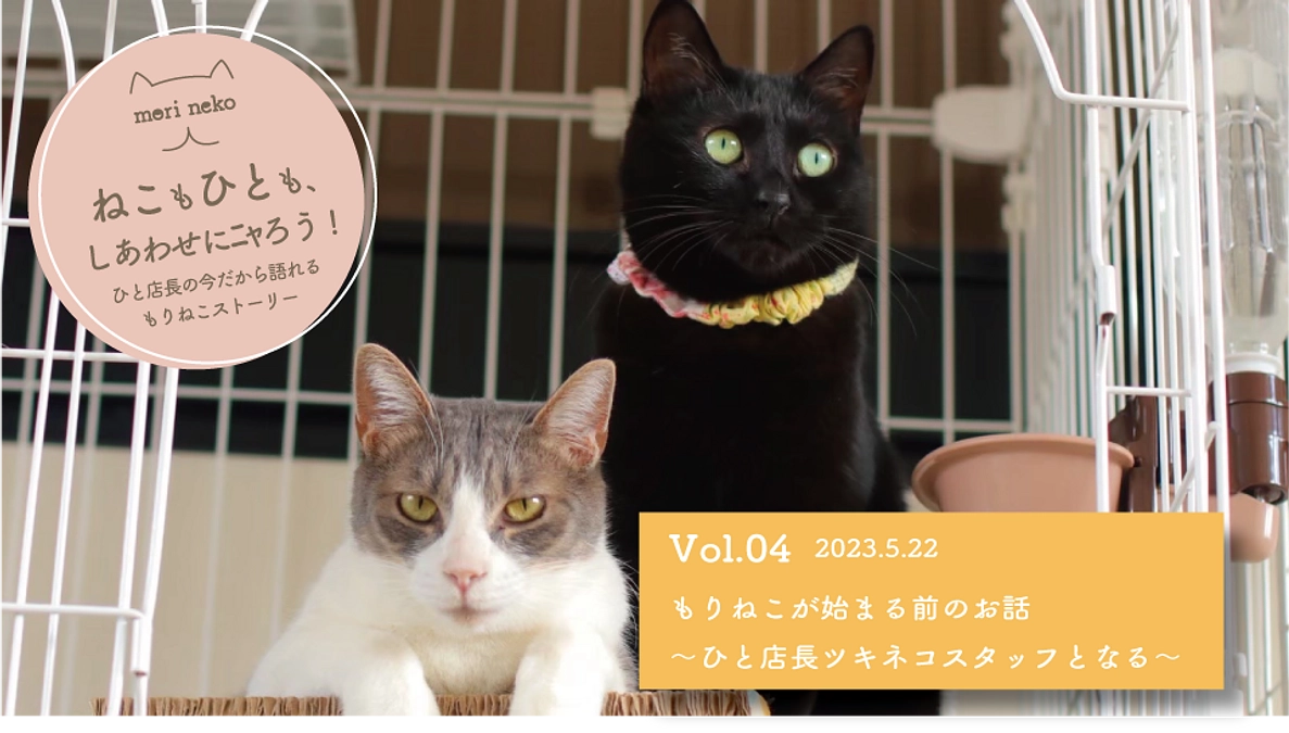 ねこもひとも、しあわせにニャろう！　vol.4