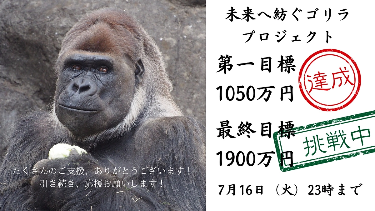 第一目標達成しました！植樹ができます！　最終目標達成のため、引き続きご支援をお願いします