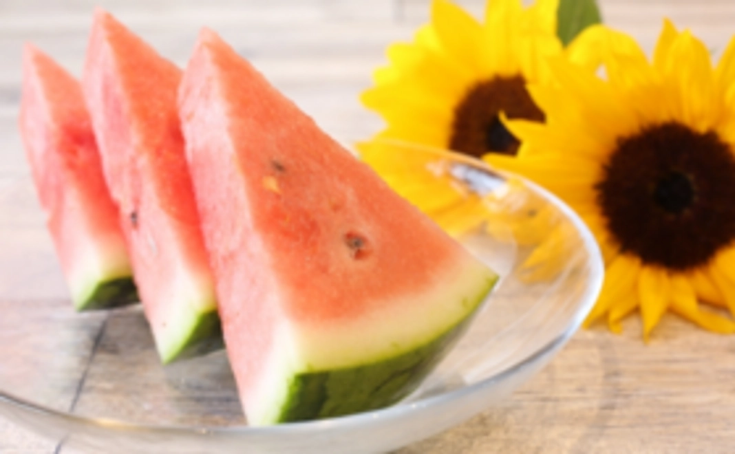 ＜食べる＞無農薬スイカ2玉おためしコース