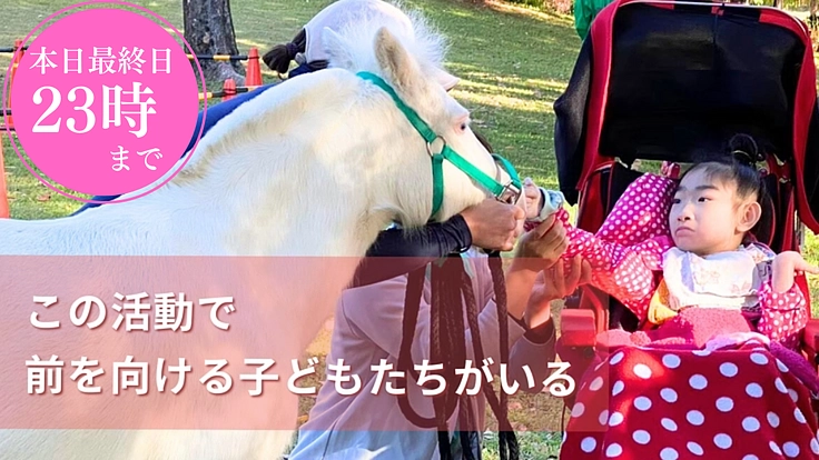 ホースセラピーを続けるために。 馬運車を購入したい！