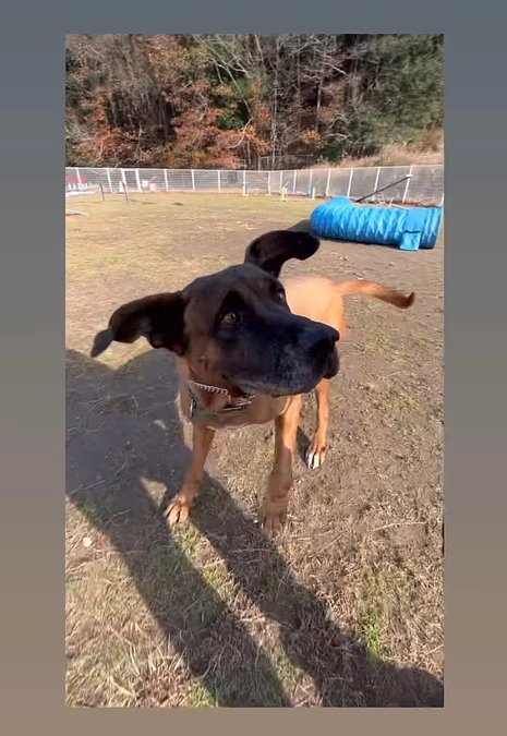 繁殖制限の必要性