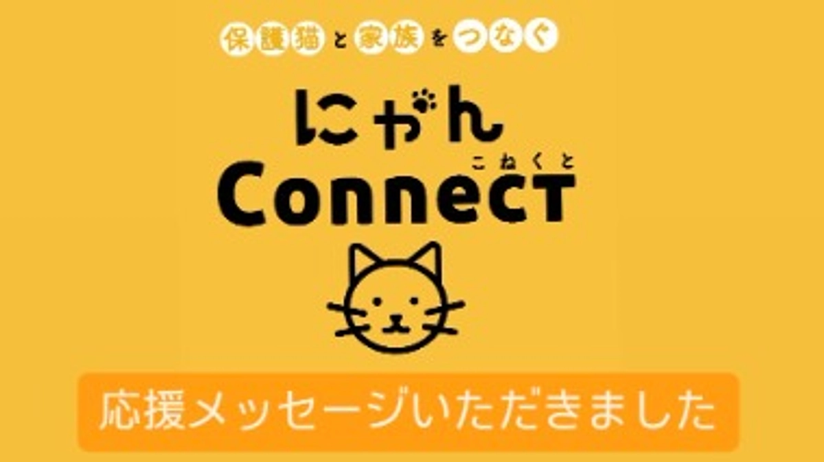 戦友と言っても過言ではない【にゃんConnect】様より応援メッセージいただきました！