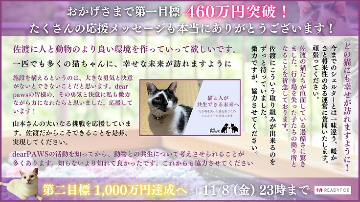 行き場を失った猫を救うため。安心して過ごせる施設を佐渡島に作りたい 9枚目
