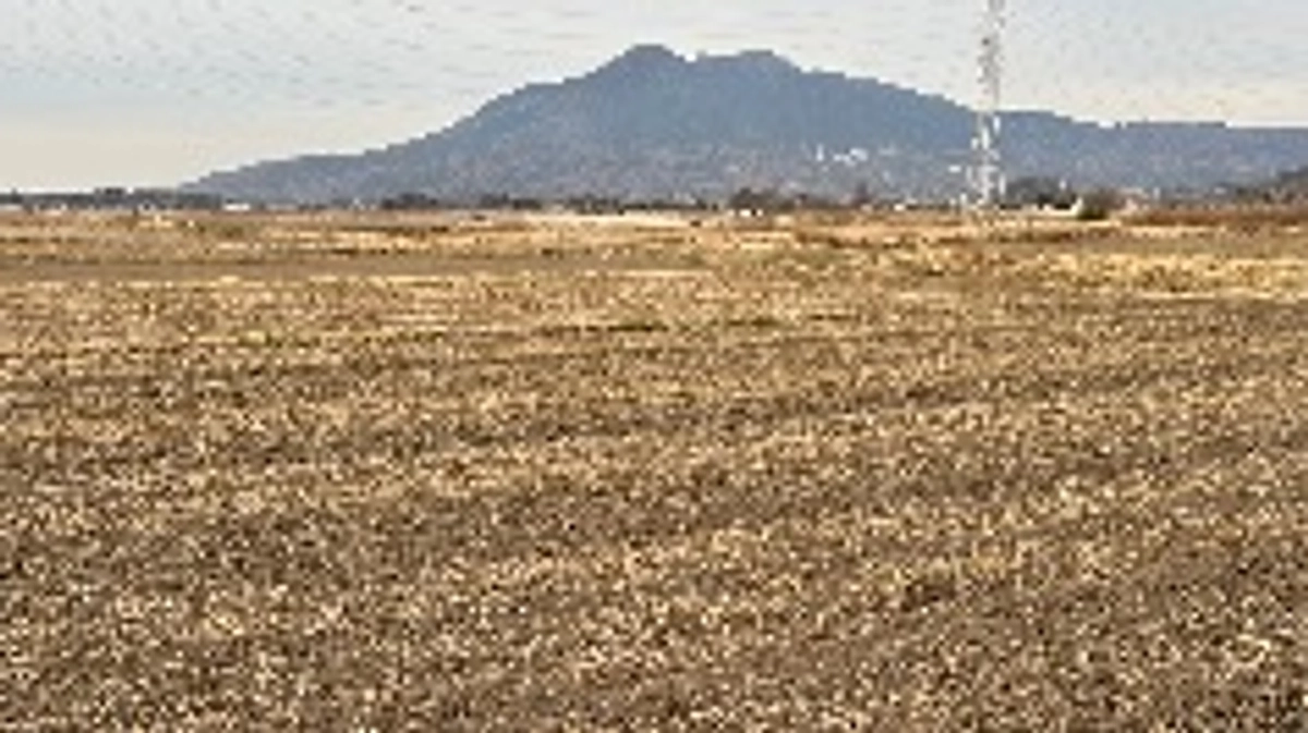 二十四節気 冬至　七十二候 麋角解(さわしかのつのおつる)