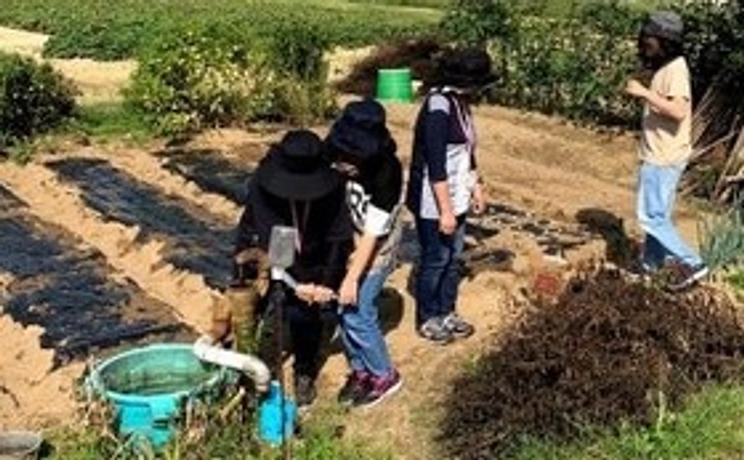 お手軽応援コース