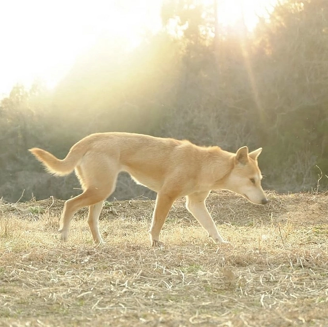 エムエムブックス　服部福太郎様より応援メッセージをいただきました！