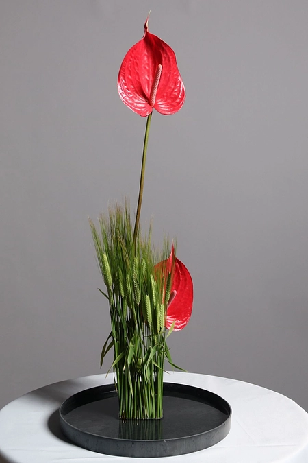 エントリナンバー01