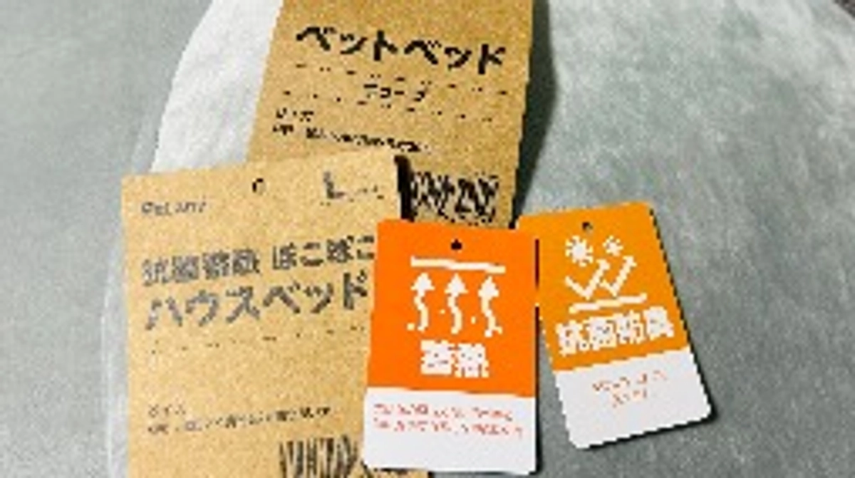 いかがお過ごしですか？