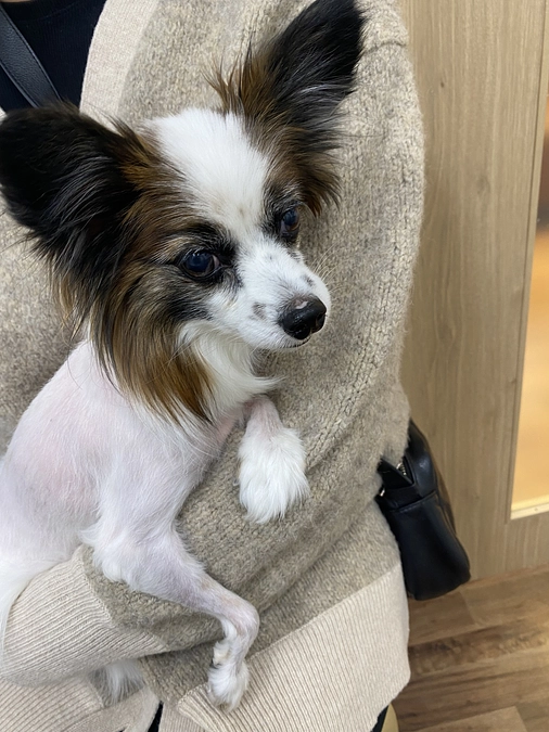 本日全ての方へリターンのメールを🌸