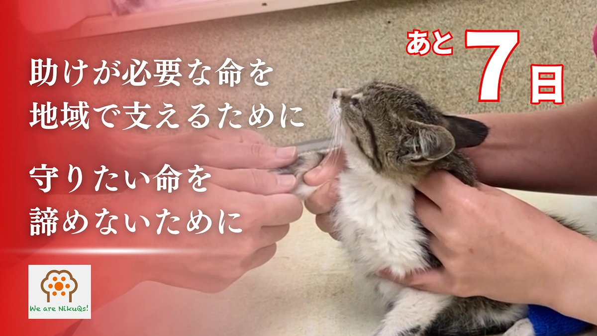 残り7日となりました！達成まであと540万円。拡散のご協力をお願いします