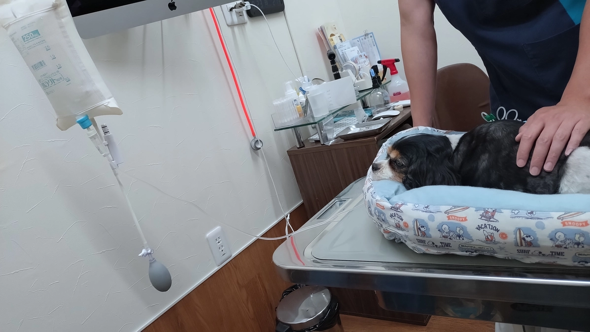 9月23日体調悪化でかかりつけ受診