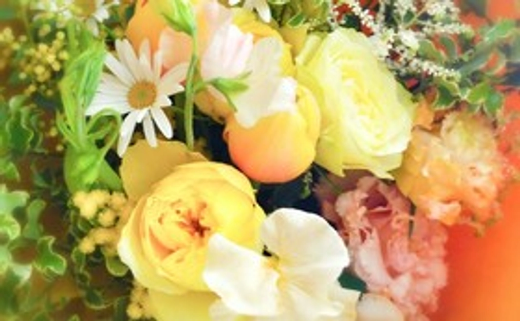 サンクスレターと一度のお買い物の割引券