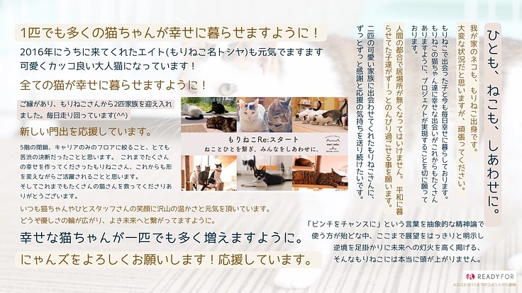 もりねこRe:スタート! 保護ねこ活動の継続と新たなチャレンジへ 9枚目