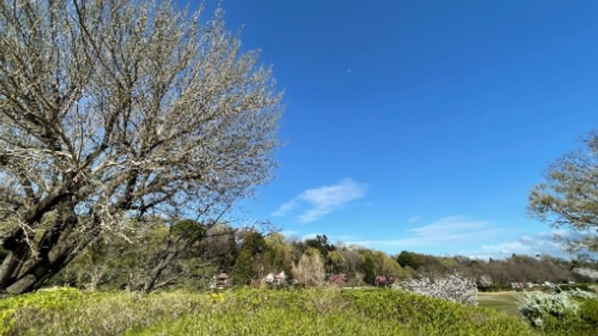 リターン追加します！｜クラファン終了まで残り13日！