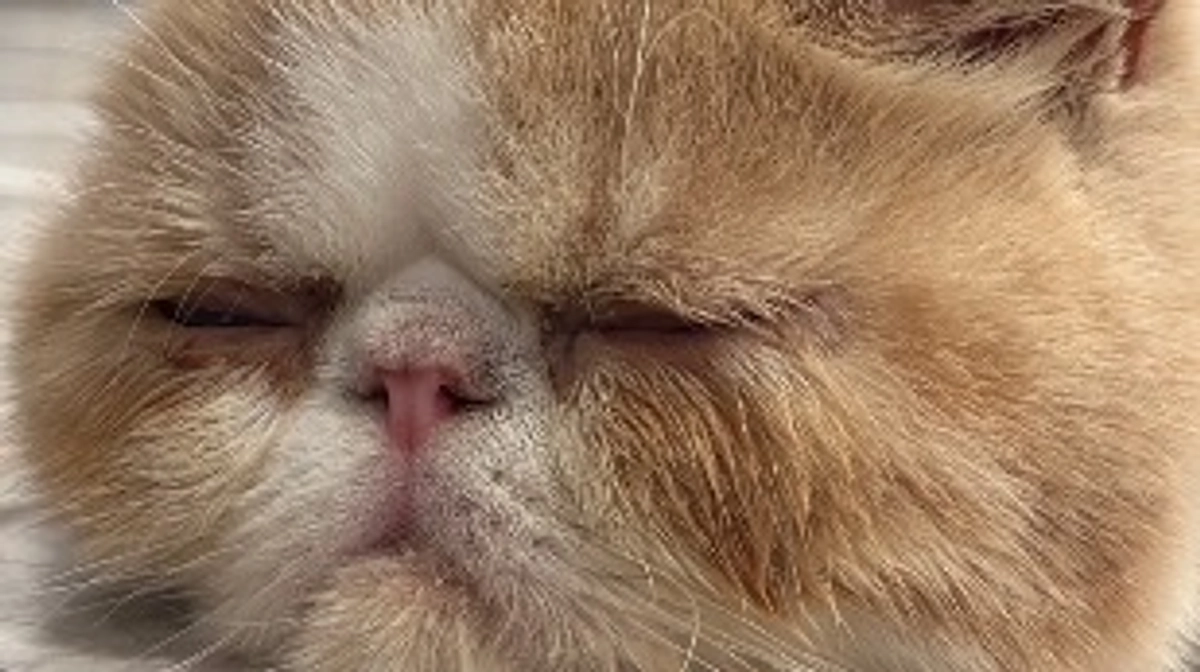 内服治療43日目/84日