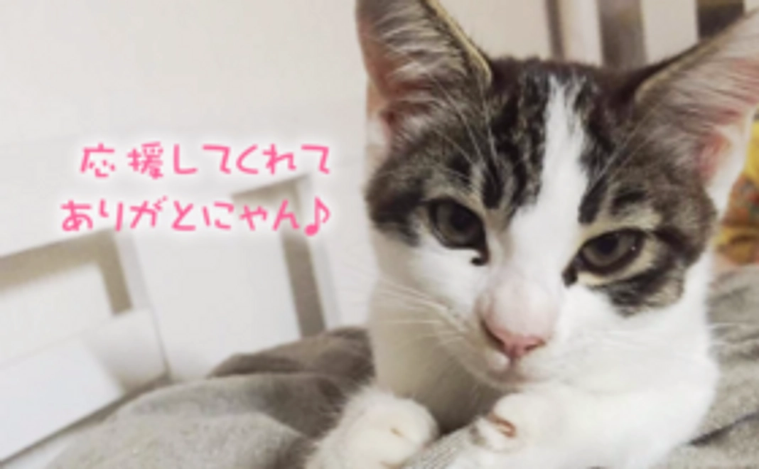 応援ありがとうメール☆彡