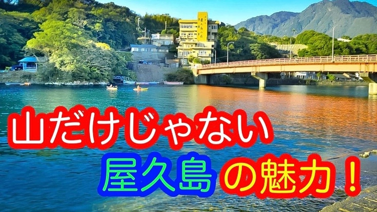 山だけじゃない❗️川も海も神秘的な屋久島を世界に発信したい❗️