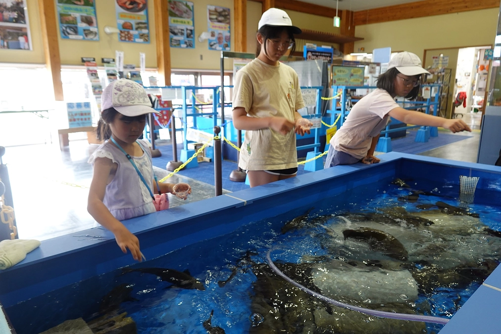 エサやり体験も始まっています