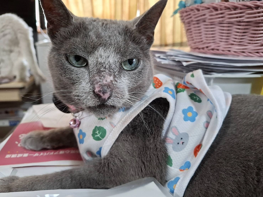 今日、病院に行ってきました。