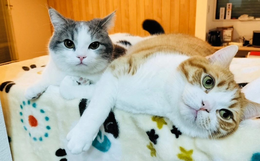 ノエルくん長生きしようね！