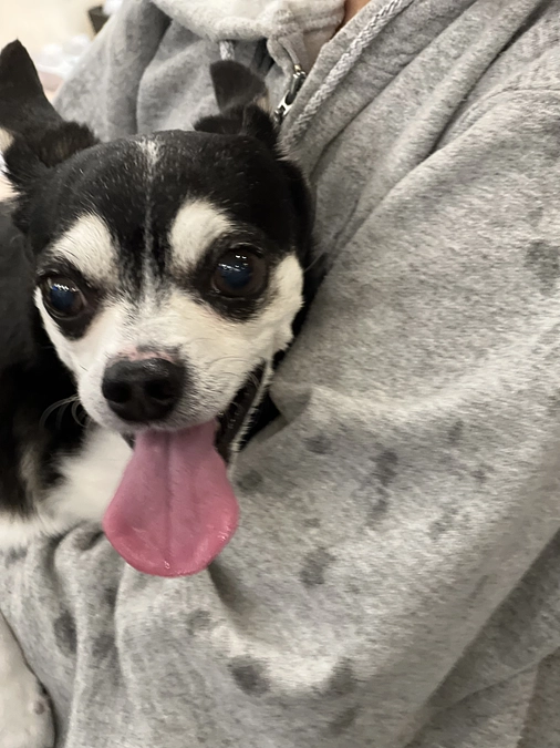 本日入院しました🏥