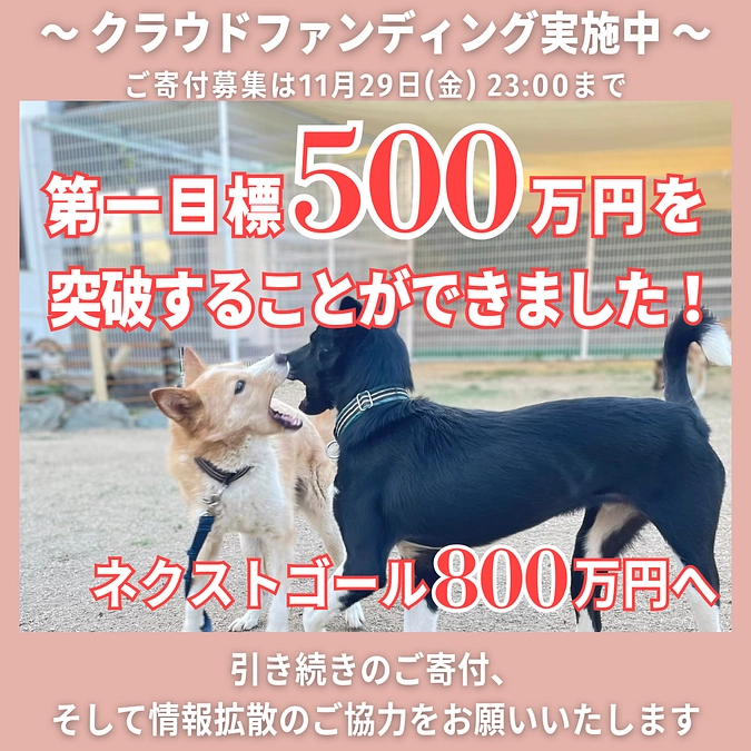 【現在挑戦中のプロジェクト第一目標達成のお礼】残り8日ですが、第二目標に向けて挑戦中です！